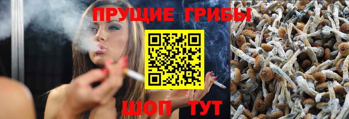Псилоцибиновые грибы ЛСД Хасавюрт