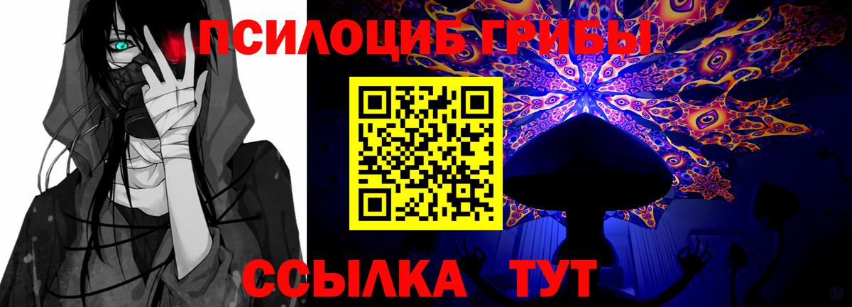 Хасавюрт  Псилоцибиновые грибы GOLDEN TEACHER  Вход с VPN 
